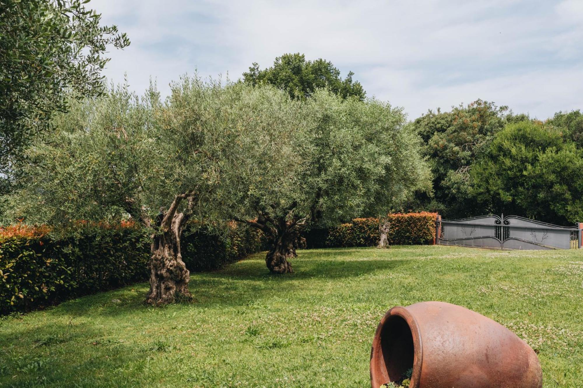 New!!! La Magrina - Bed&Breakfast Vrsar Εξωτερικό φωτογραφία